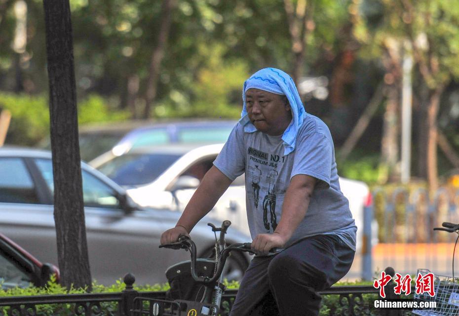 半岛星空体育-球探对杨瀚森失望