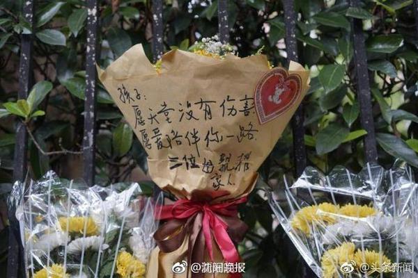 半岛官网在线登陆相关推荐10