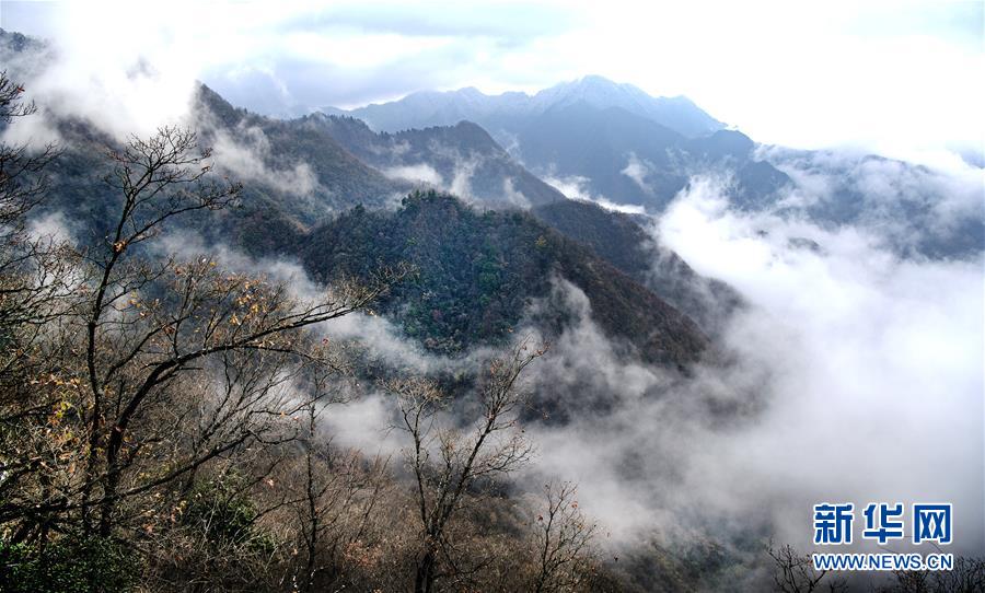 问鼎最新登录地址-问鼎最新登录地址