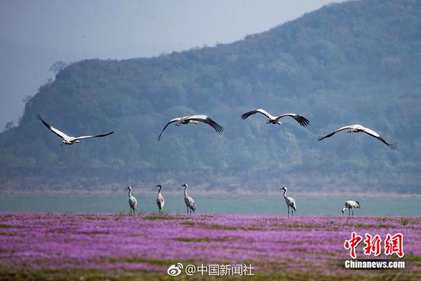 伟德注册官网-虐猫考生参加兰大研究生调剂面试
，未现身思政考核环节，疑似面试未通过	，结果究竟如何
？