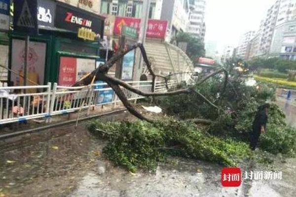 od平台在线登录-“提灯定损”之地探访
：村里住着很多陪读妈妈，当地民宿遭大量退订