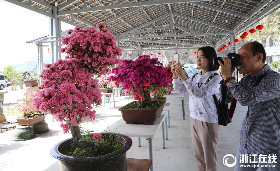 od平台在线登录相关推荐6