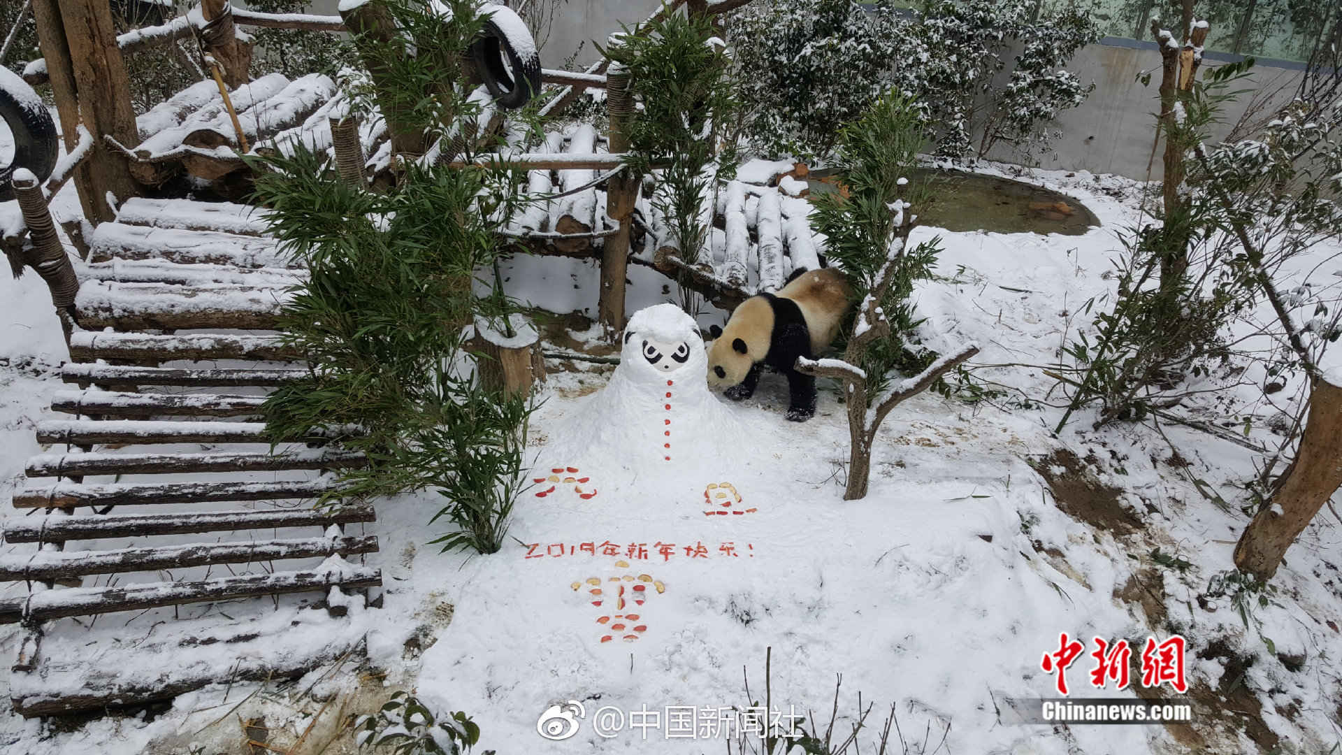 英亚体育手机app下载-马上评丨追诉3名未成年犯罪嫌疑人传递出什么信号