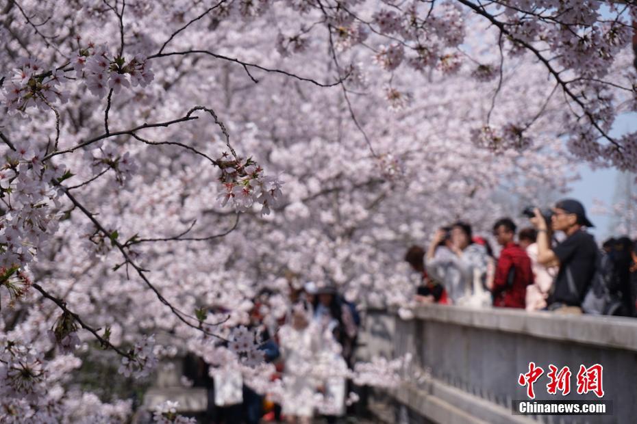 半岛在线体育网相关推荐9