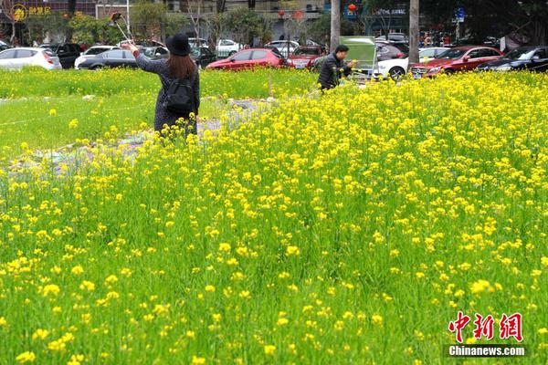 千赢app官方入口相关推荐9