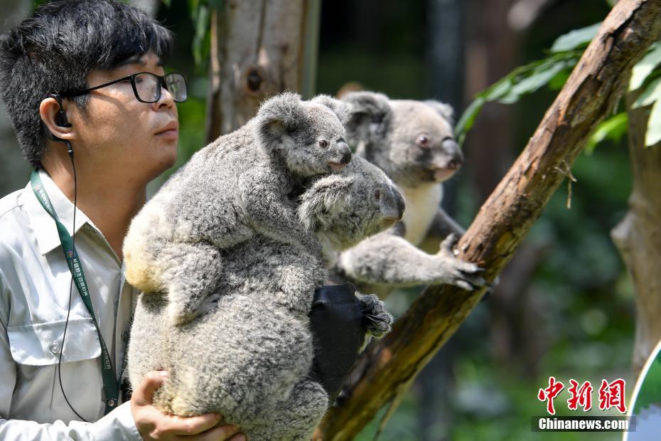 开云app苹果下载相关推荐7