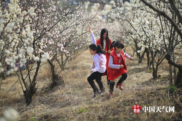 乐鱼官网开户-【兔丸】在学校这样表白学姐 她一定会爱上你