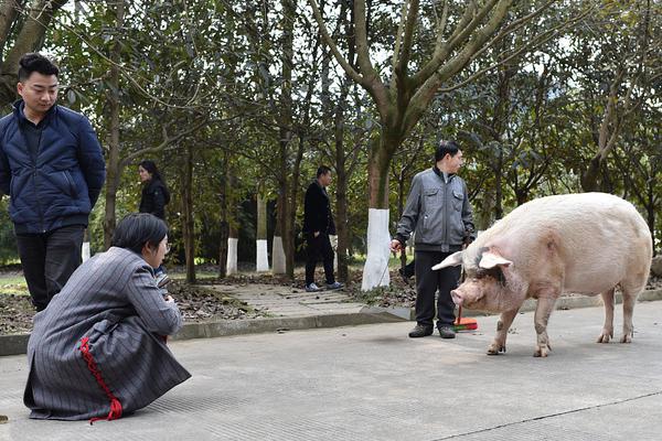 澳门新萄京官方网站相关推荐6