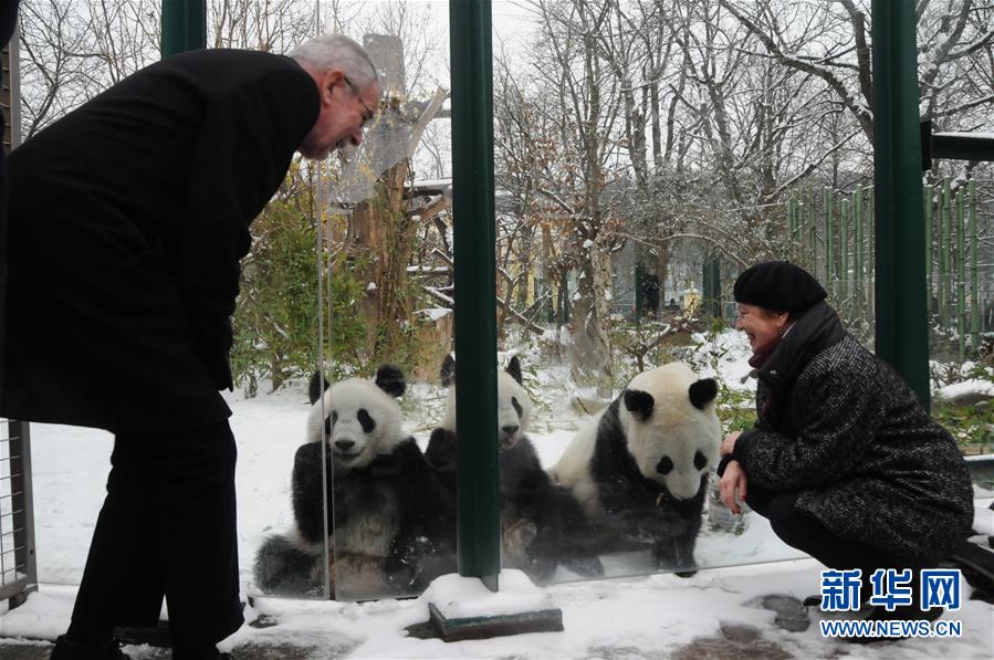 澳门网下载相关推荐4