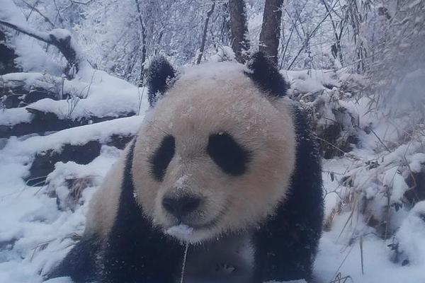 伟德下载安装-有什么让你吃一次就记一辈子的美食	？