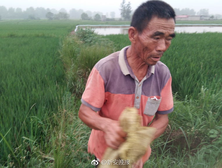 开云kaiyun网页版登录-一到春天拍花血脉就觉醒了