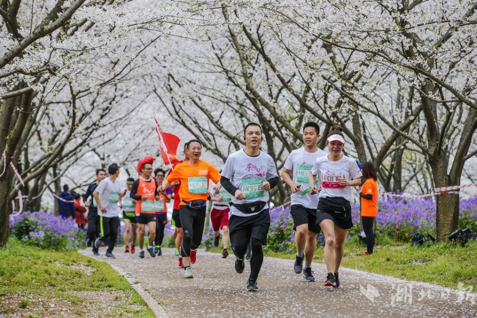 威尼斯888电子游戏下载