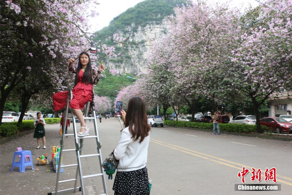 乐鱼在线登录平台-乐鱼在线登录平台