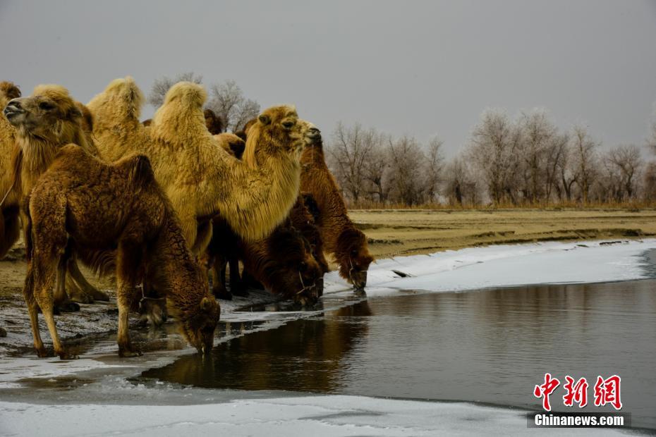 澳门大阳城赌钱-重生之我是大明星……的COS助理
！状况百出�！