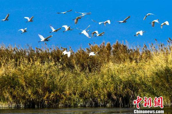 开云在线登录官网-多家银行下调存款利率