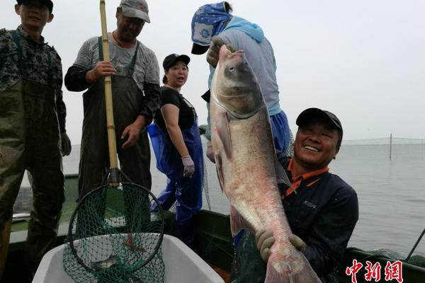 开元ky888官方人口-回应撤出中国传闻