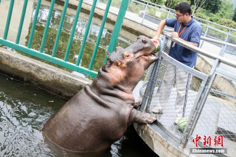 米博电源官网-鼻塞、眼睛红肿、皮肤痒
，为什么过敏体质一到春天就特别难受	？