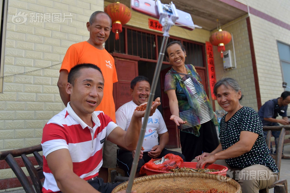 金狮贵宾线路检测相关推荐7