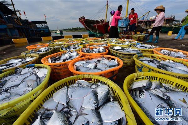 金沙线路检测网址