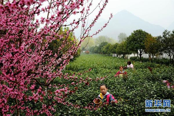 b 体育下载-在职研究生有必要读嘛