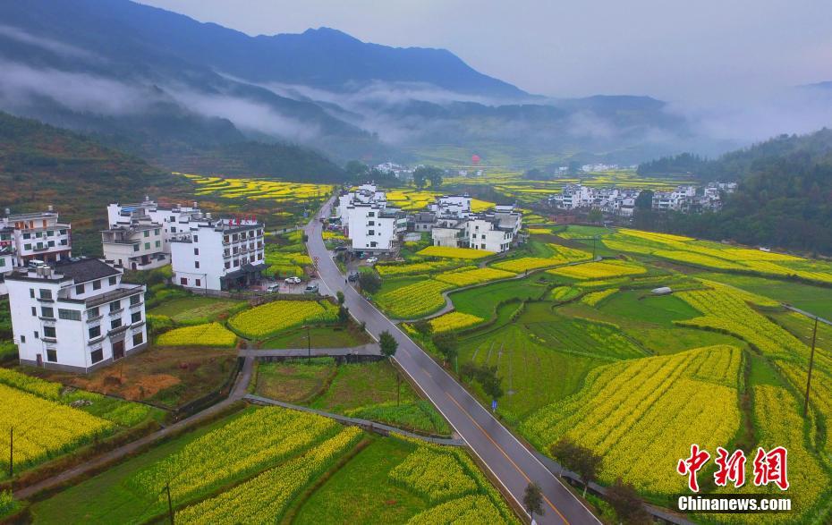 华体育会在线登录-华体育会在线登录