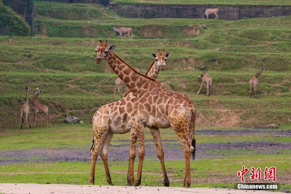 半岛网页版登录入口-半岛网页版登录入口