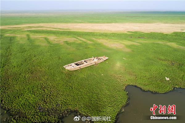 乐竞在线注册-飞天茅台批发参考价再次下探