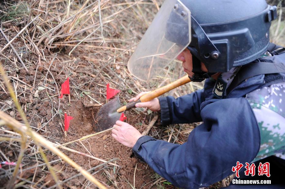 半岛体肓综合下载相关推荐7