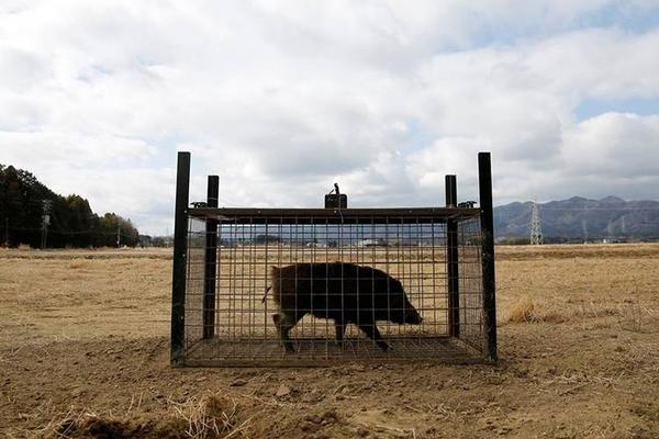 开云体验app官方入口-白发行止花絮