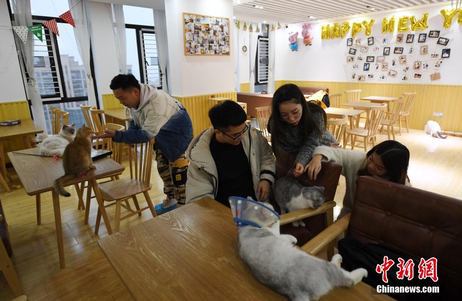 博亚娱乐网-今年唯一日全食:太阳被吞成指环