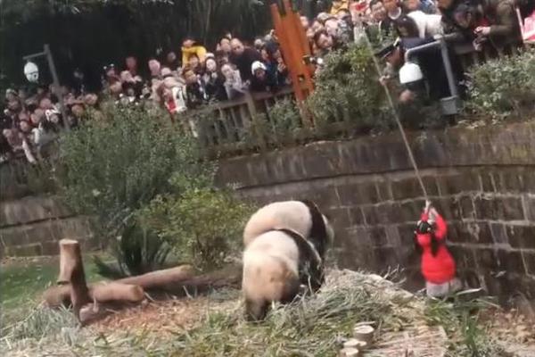 半岛网页版在线登录-平顶山执法人员拉扯女子抢夺手机