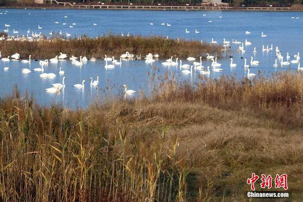 乐鱼在线登录入口-“反诈老陈”直播带货 销售额达10万