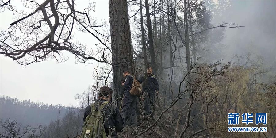 半岛体肓综合下载相关推荐9