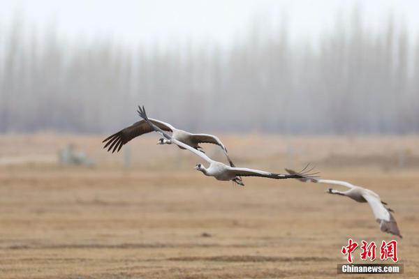 开云电子娱乐-今年唯一一次日全食现场画面