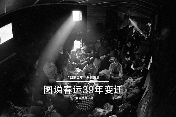 免费的网页入口无需下载相关推荐10