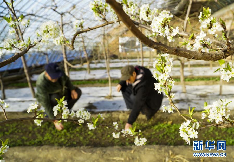 开云最新版app下载相关推荐9