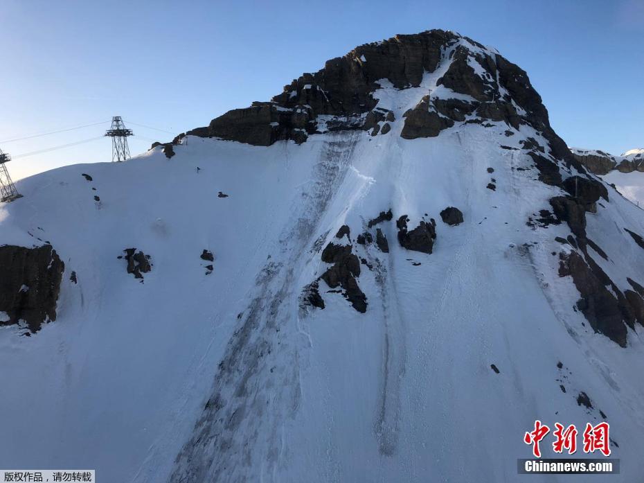 半岛星空体育-地球上战斗力最强的动物是什么
？