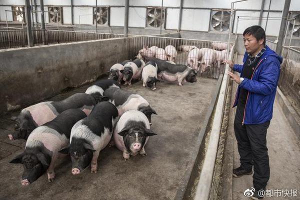 澳门新葡官方网站