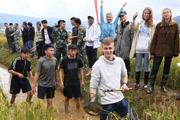 半岛在线体育官网相关推荐1