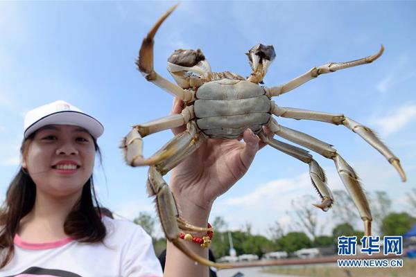 澳门正规电子游戏平台相关推荐9