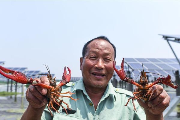 问鼎最新登录地址-问鼎最新登录地址