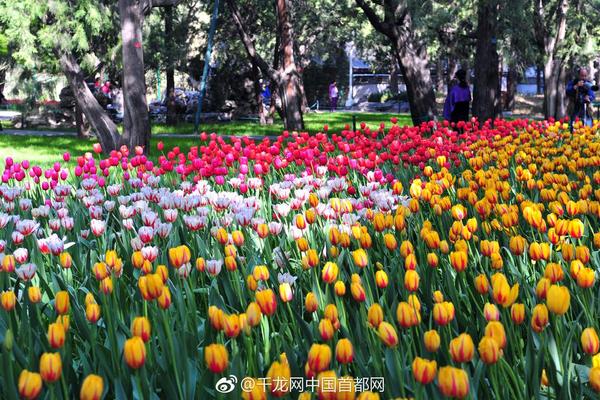 亚美登录首页官网-江西师大男学生虐猫