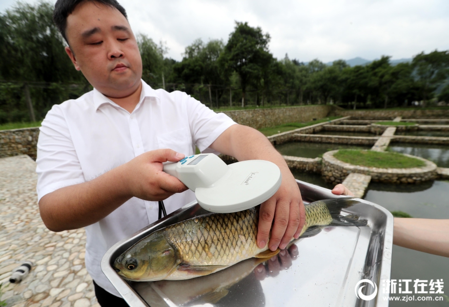 半岛网页版登录入口-垂直地面射线撞到其他星球概率有多少