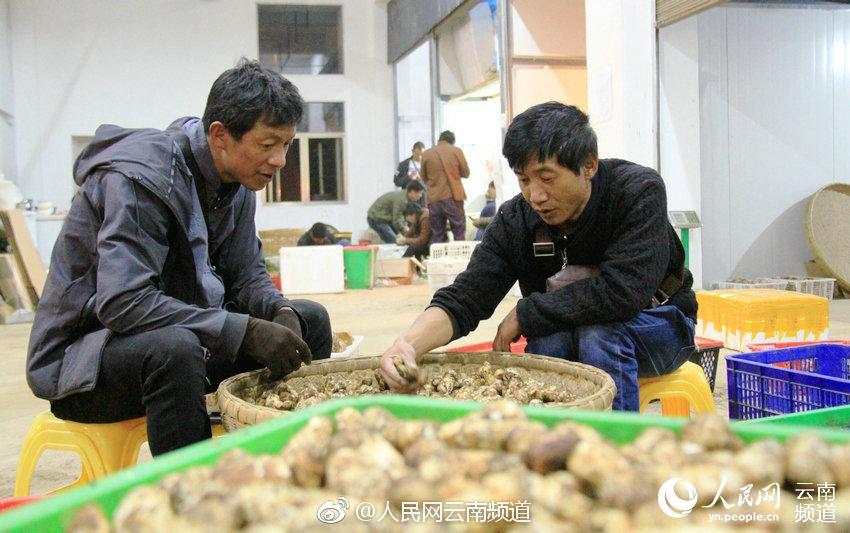 贝博官网下载app客户端相关推荐2”