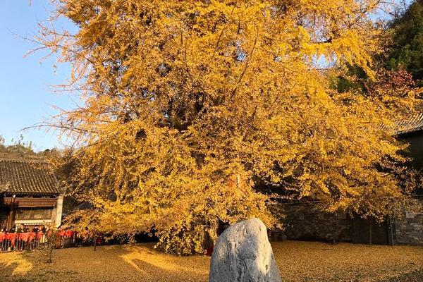 江南登录入口app下载-又11人被查！今年医药反腐已打落超150人