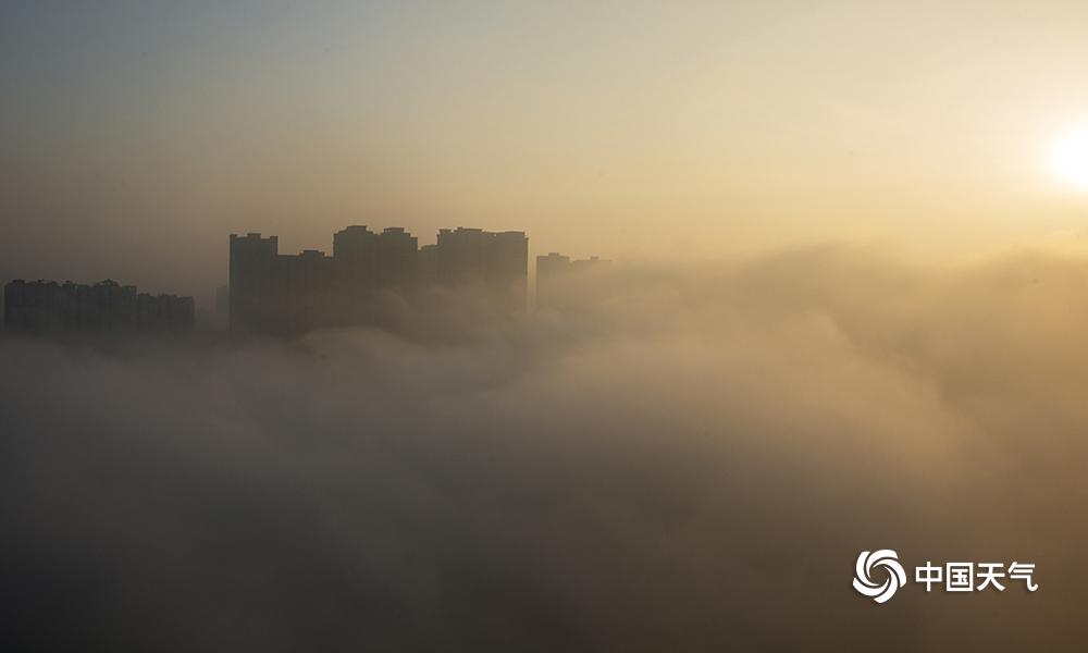 星空体育在线登陆-将随朔尔茨访华的企业高管名单
：凸显中国对德国外贸的重要性