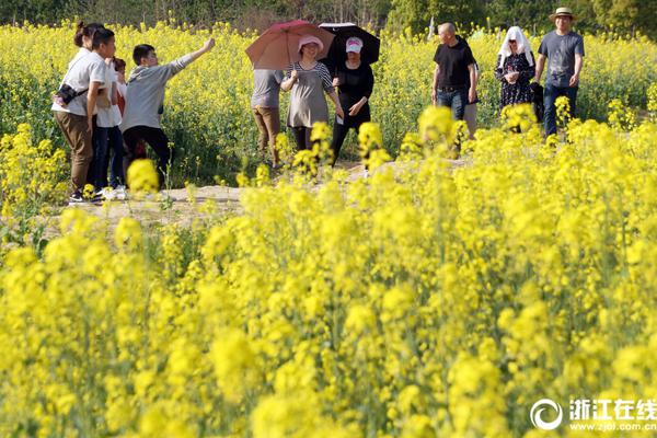 江南官方入口-你能例举出自不同作品但外表相似的动漫角色吗
�？