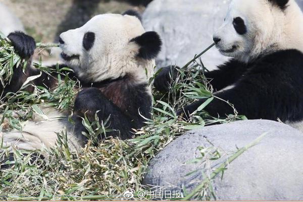 英亚体育手机app下载-网易回应暴雪国服回归