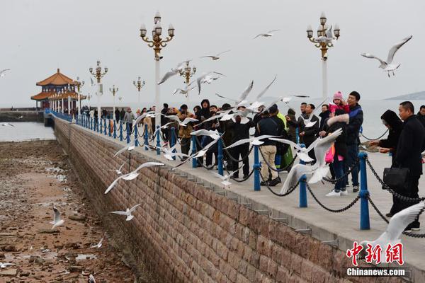 天博综合app克罗地亚相关推荐8