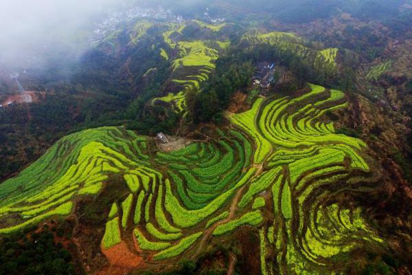 半岛网页版登录入口